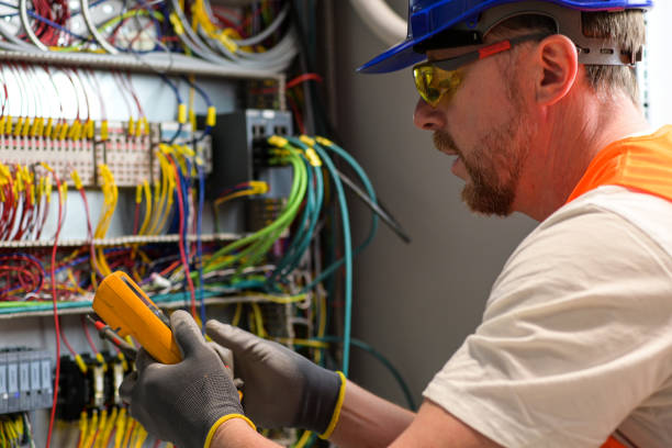 Best Electric Panel Repair  in Rio Pinar, FL